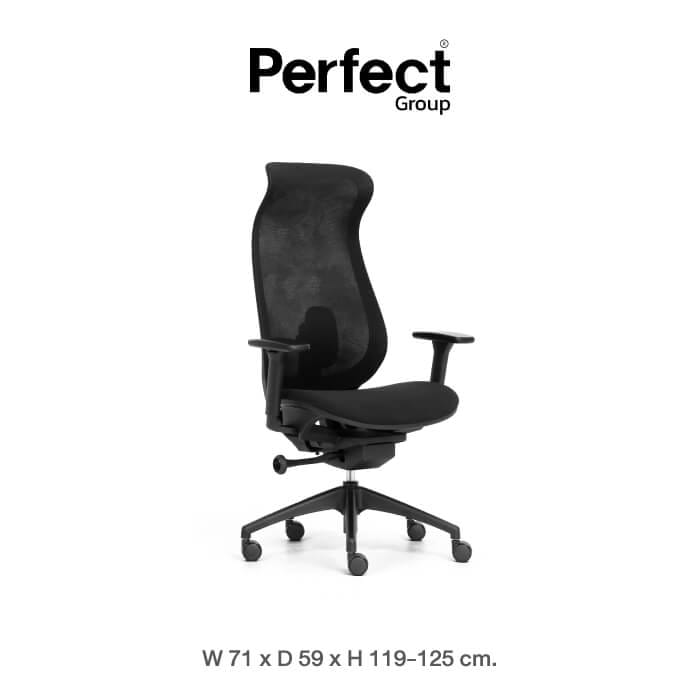 เก้าอี้ทำงานเพื่อสุขภาพ Perfect รุ่น 6237A สีดำ_1